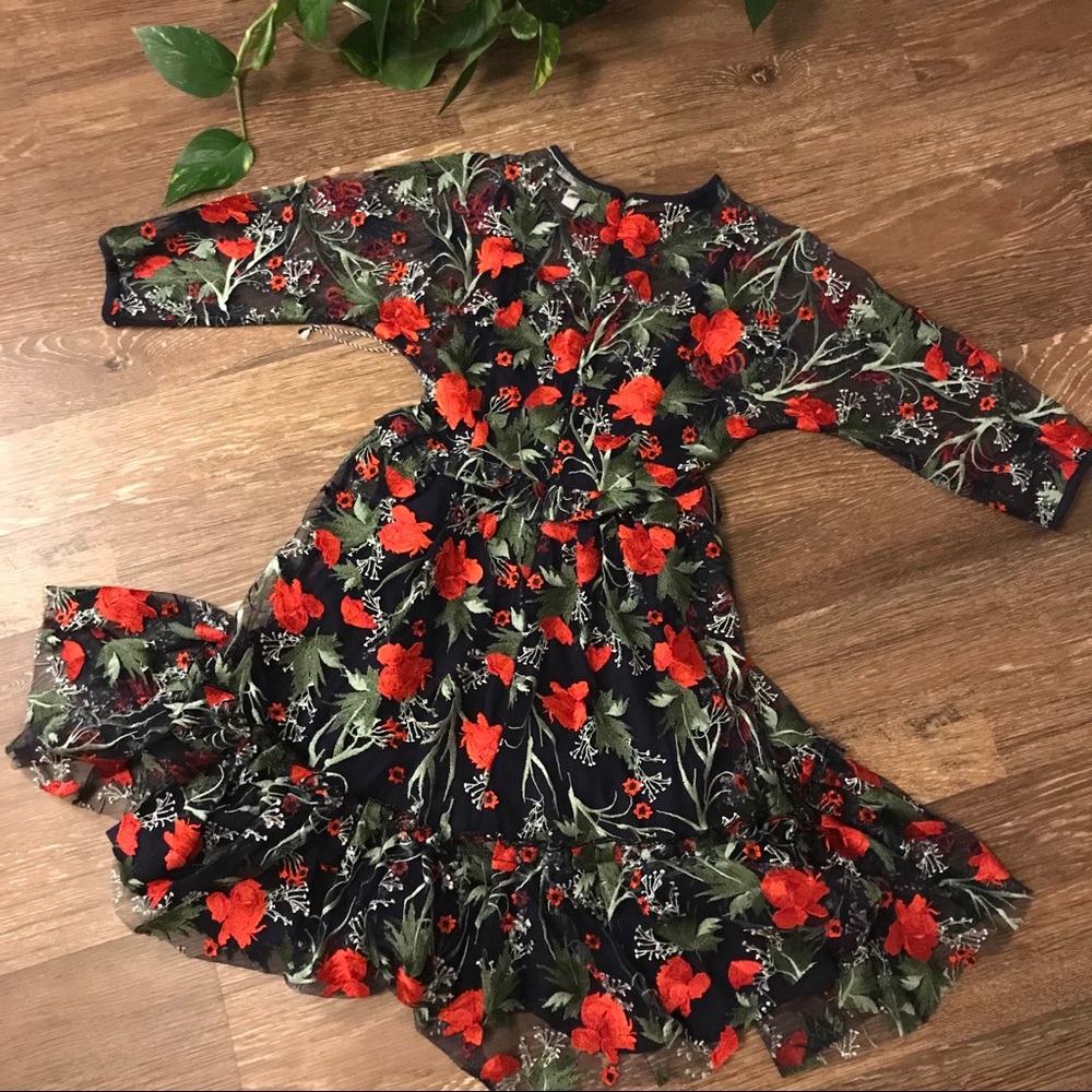 1901 embroidered mesh dark floral dress 6 - Picture 3 of 8